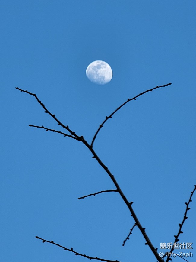 【遇见，美好！】+余晖唱晚