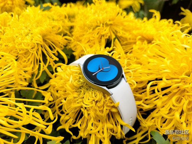 【Galaxy Watch4系列星粉体验团】从芯开始
