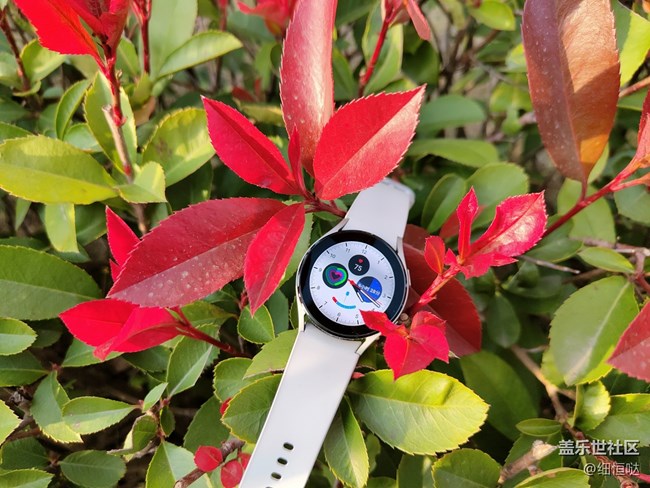 【Galaxy Watch4系列星粉体验团】从芯开始