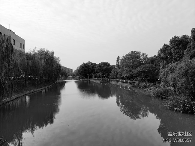 【简单的黑白灰】+小区公园