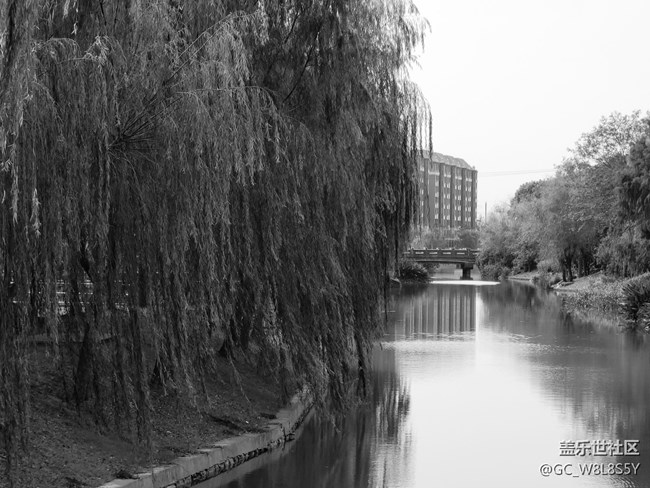【简单的黑白灰】+小区公园