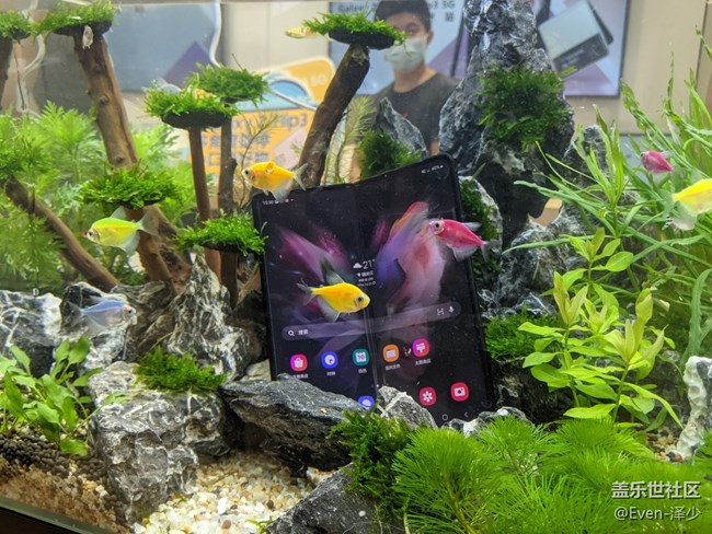 Galaxy Z Fold3| Flip3 5G品鉴会