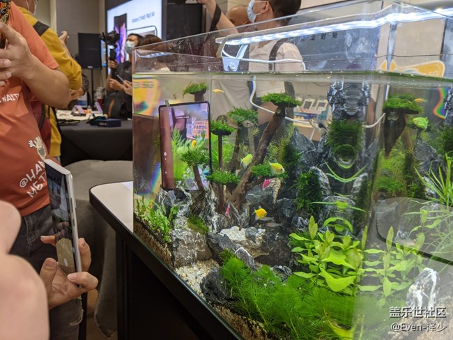 Galaxy Z Fold3| Flip3 5G品鉴会