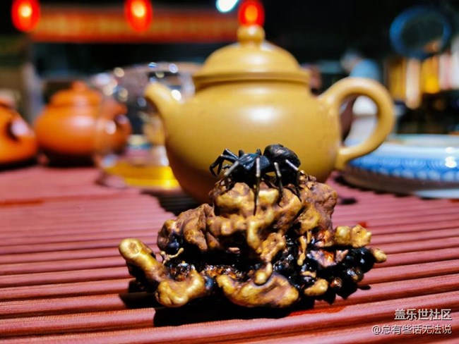 【宠物】茶宠