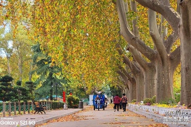 《每周星鲜事》 第87期:数据迁移，登记领2000星钻