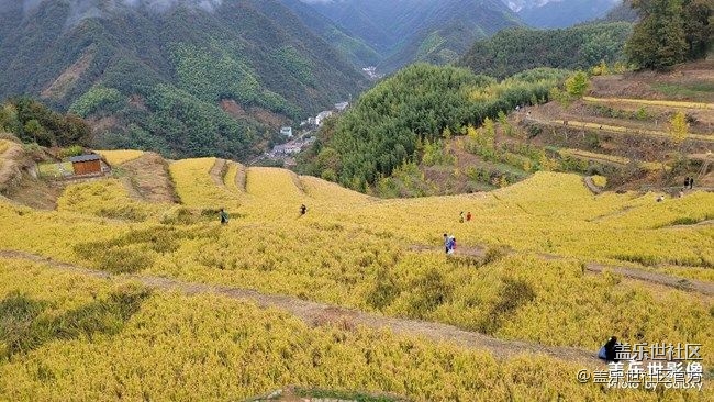 《每周星鲜事》 第87期: