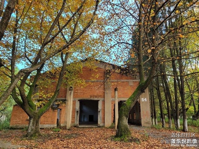 《每周星鲜事》 第87期: