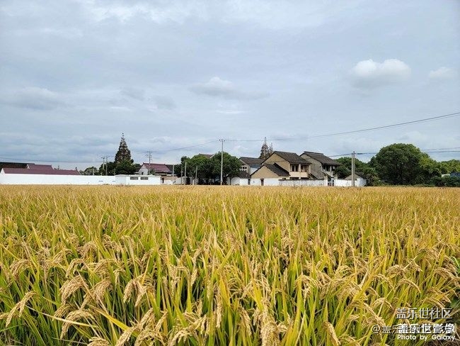 《每周星鲜事》 第87期: