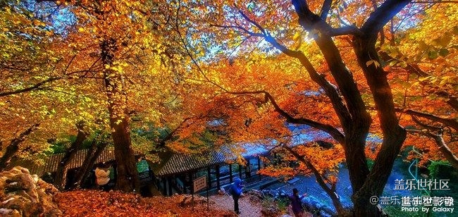 《每周星鲜事》 第87期: