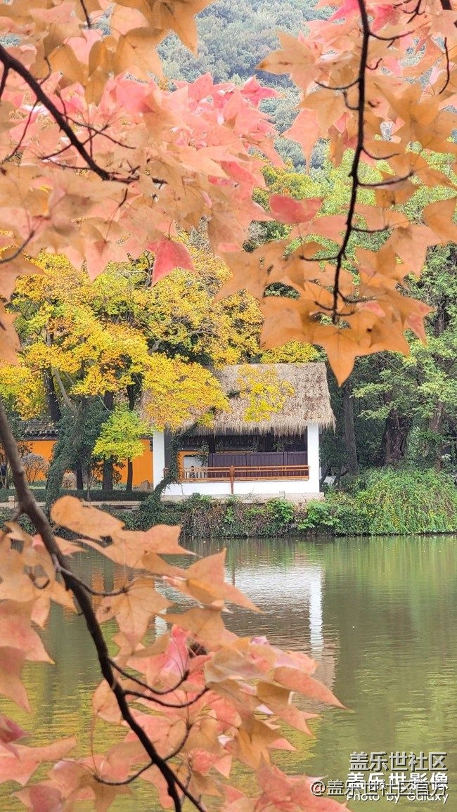 《每周星鲜事》 第87期:数据迁移，登记领2000星钻