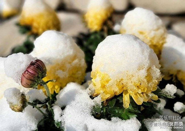 《每周星鲜事》 第87期:数据迁移，登记领2000星钻