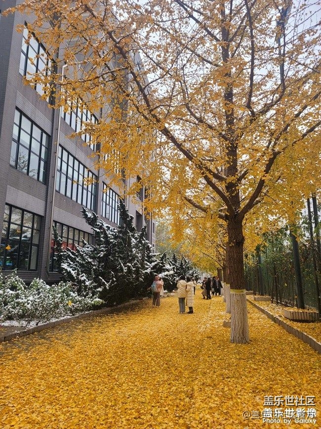 《每周星鲜事》 第87期:数据迁移，登记领2000星钻