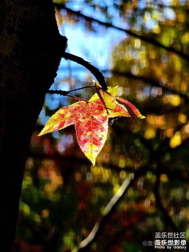 《每周星鲜事》 第87期:数据迁移，登记领2000星钻