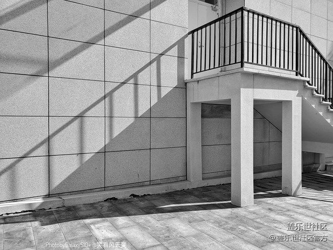 《每周星鲜事》 第87期: