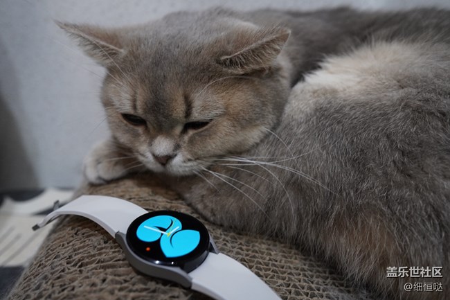 【Galaxy Watch4系列星粉体验团】从芯开始