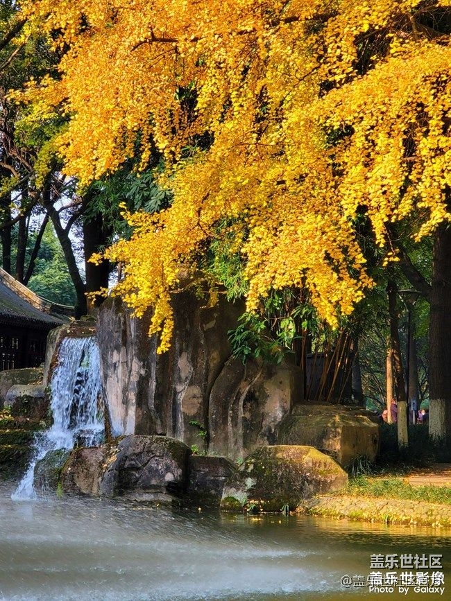 《每周星鲜事》 第87期: