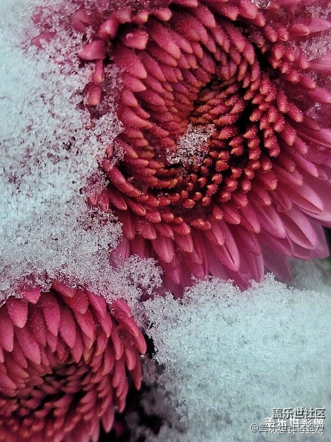 《每周星鲜事》 第87期:数据迁移，登记领2000星钻