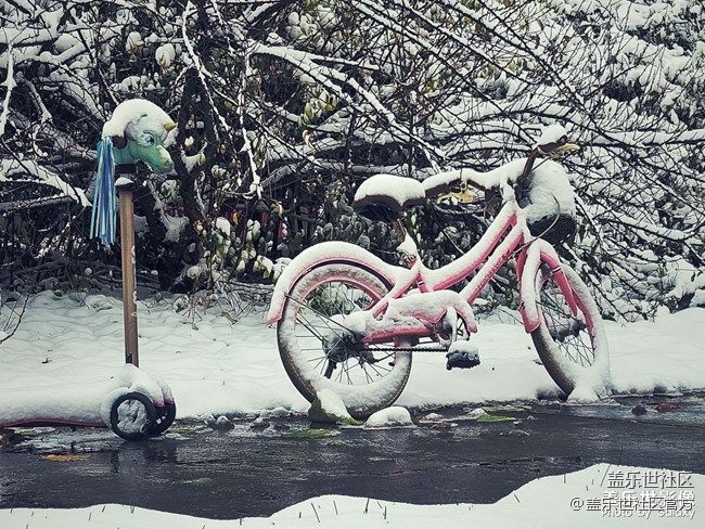 《每周星鲜事》 第87期:数据迁移，登记领2000星钻