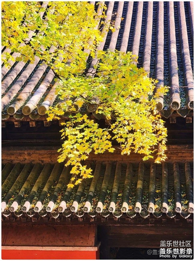 《每周星鲜事》 第87期: