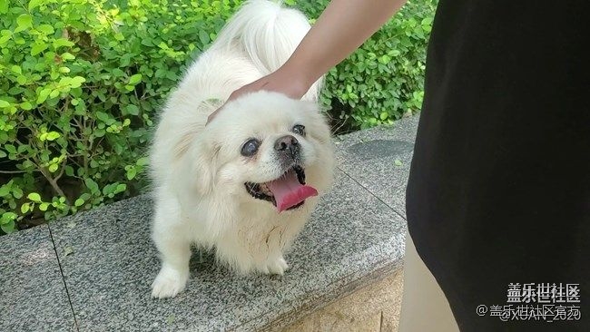 《每周星鲜事》 第87期:数据迁移，登记领2000星钻