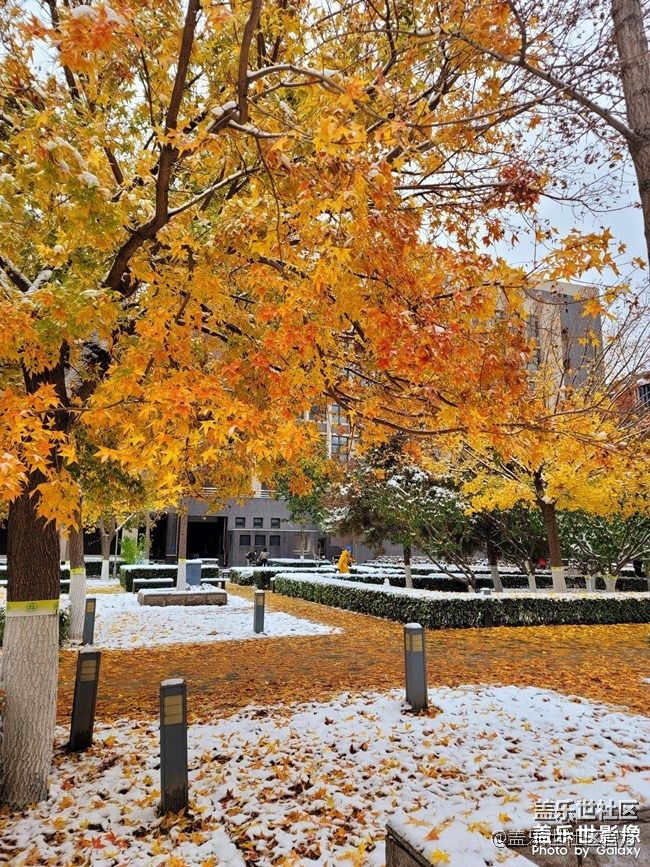 《每周星鲜事》 第87期: