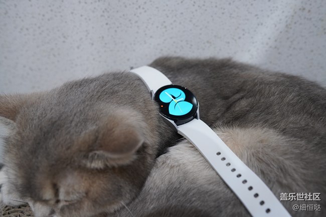 【Galaxy Watch4系列星粉体验团】从芯开始