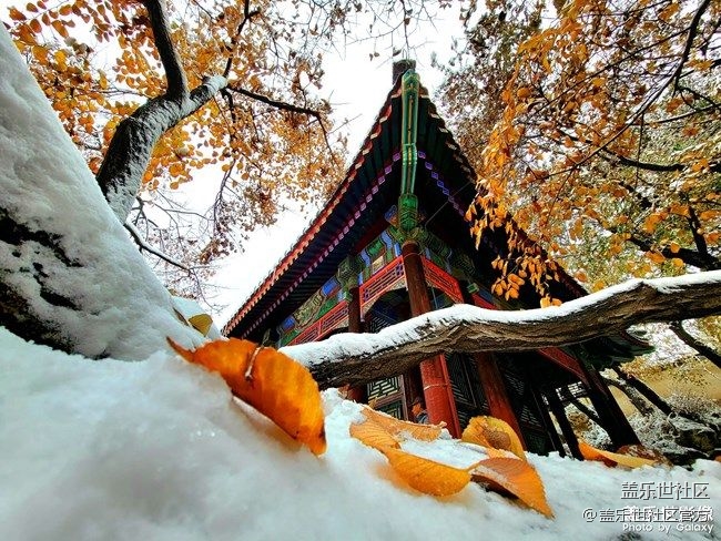 《每周星鲜事》 第87期: