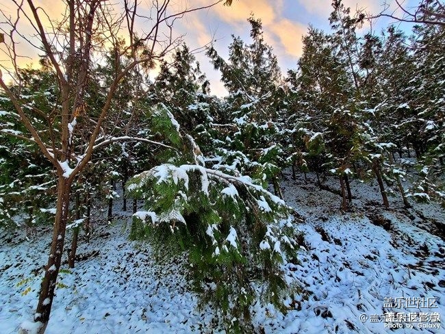 《每周星鲜事》 第87期: