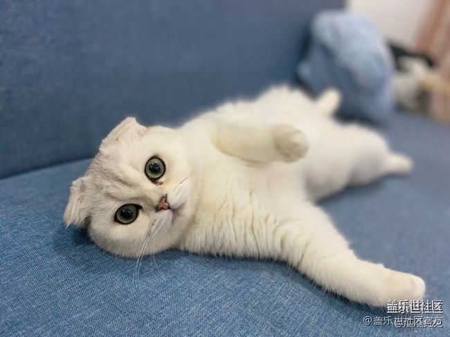 《每周星鲜事》 第87期:数据迁移，登记领2000星钻