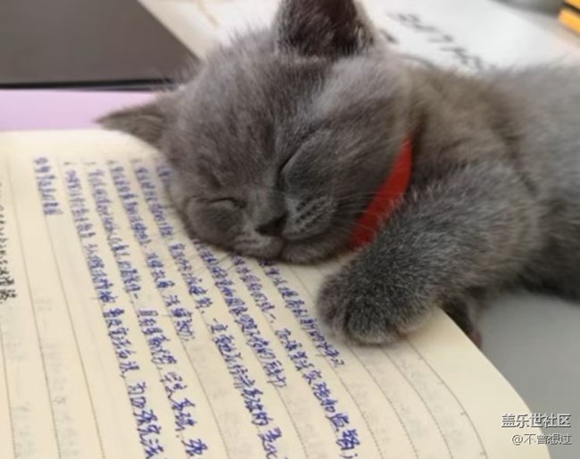【宠物】猫猫