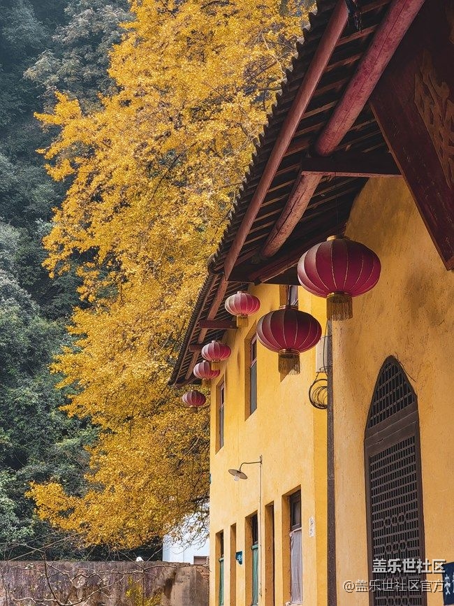 《每周星鲜事》 第87期: