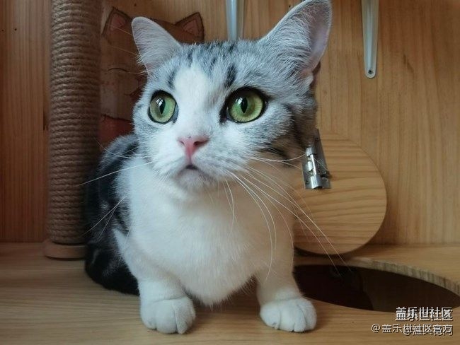 《每周星鲜事》 第87期:数据迁移，登记领2000星钻