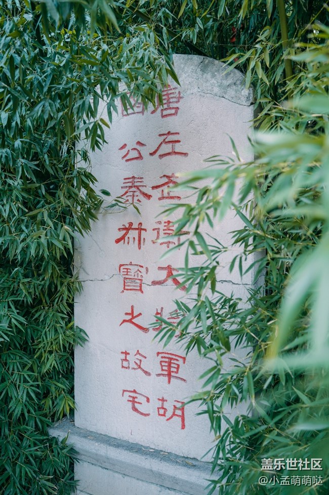 11月14日的活动去趵突泉真好