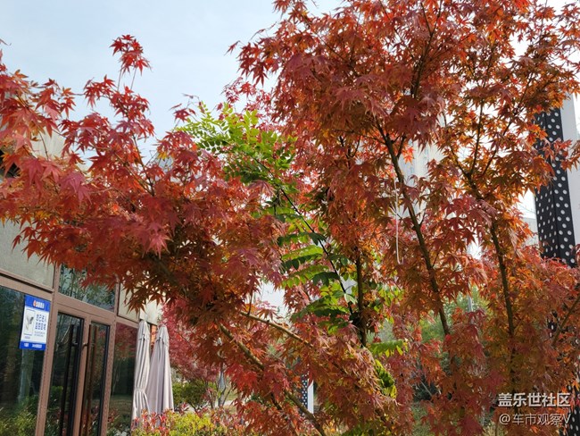 趁着最后的绿色还没被枯黄所替代，赶紧出去转转吧。