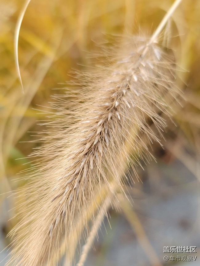 趁着最后的绿色还没被枯黄所替代，赶紧出去转转吧。