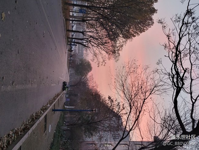 三星S21+拍照不错