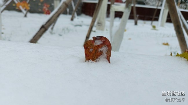 #爱在深秋——雪在深秋