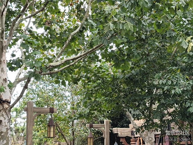 #爱在深秋——略冷清