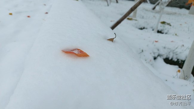 #爱在深秋——雪在深秋