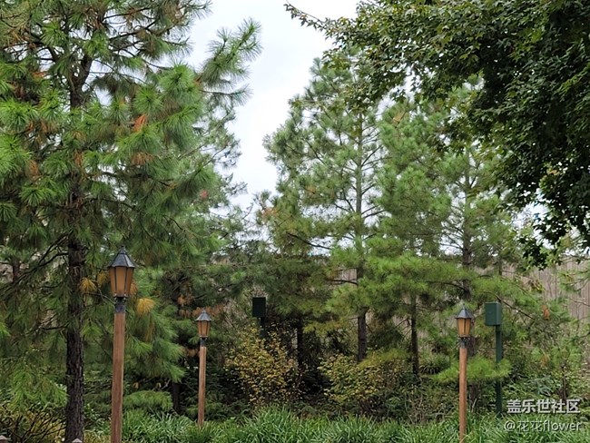 #初冬印象——萧瑟