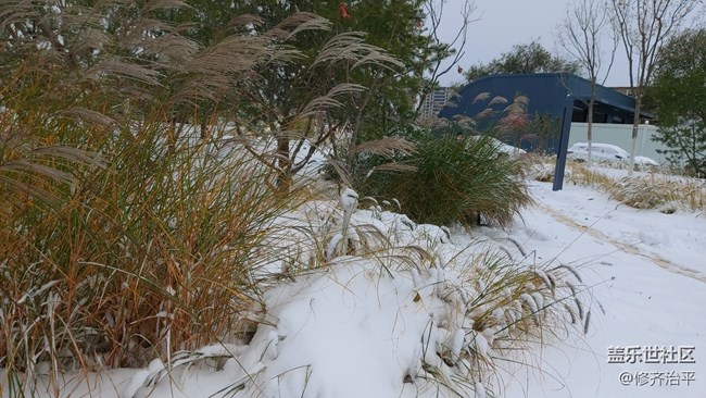 #爱在深秋——雪在深秋
