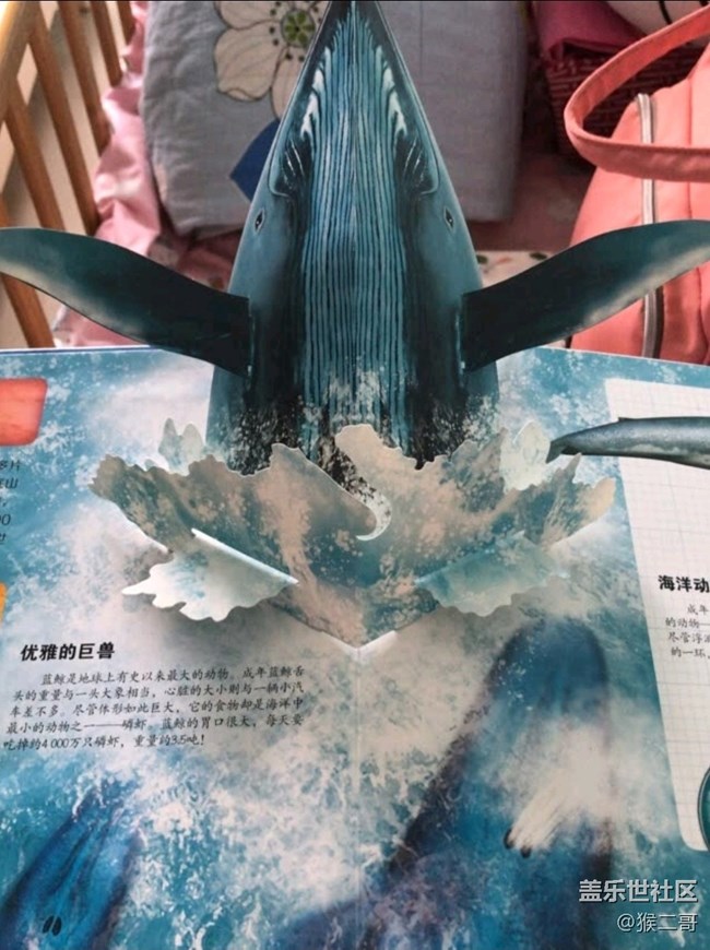 【我的双11成果】