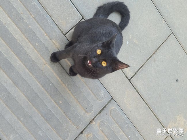 随手一拍