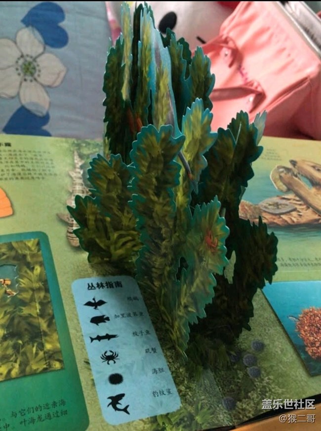 【我的双11成果】