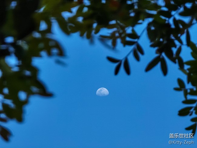 【冬日暖阳】+像春天的风，像夏天的雨，像秋天的落叶。