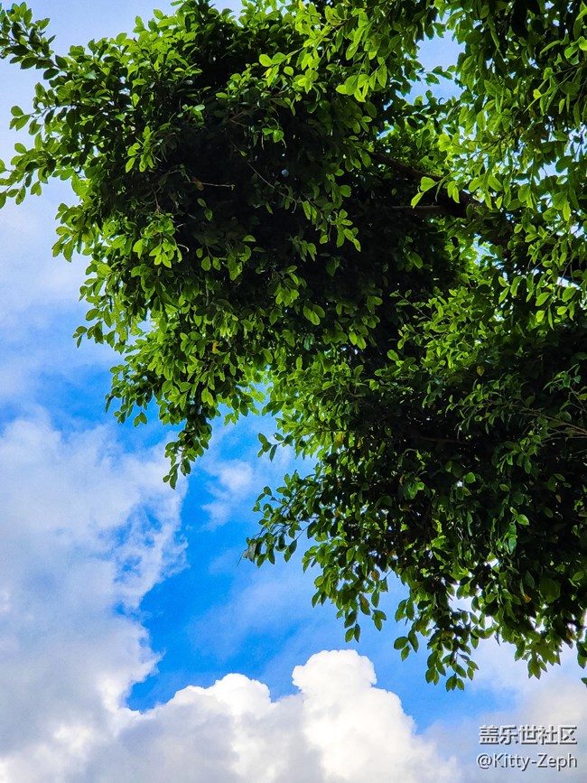 【冬日暖阳】+像春天的风，像夏天的雨，像秋天的落叶。