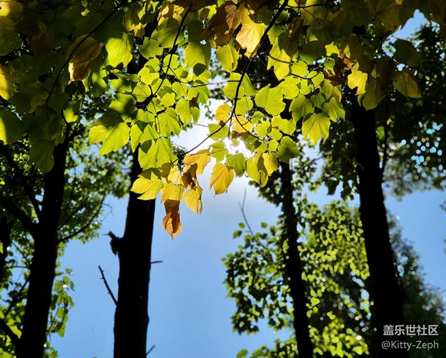 【冬日暖阳】+像春天的风，像夏天的雨，像秋天的落叶。