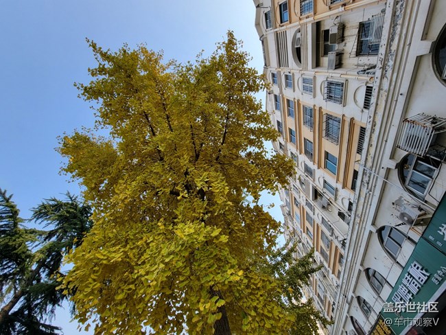 最近使用Galaxy S21 Ultra拍摄的超广角图片