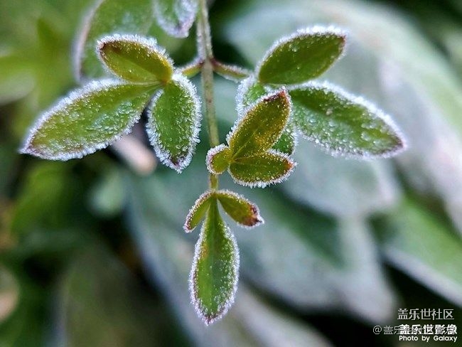 《每周星鲜事》 第90期:晒出2021你最难忘的照片