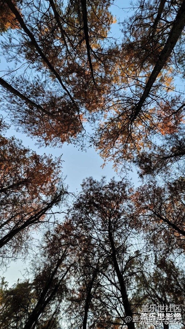 《每周星鲜事》 第90期:晒出2021你最难忘的照片